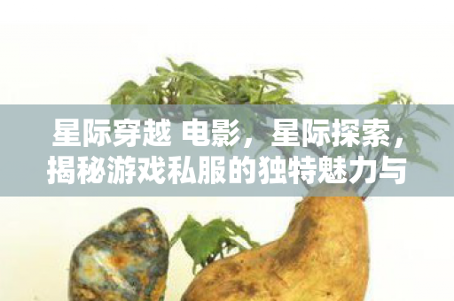 星际穿越 电影，星际探索，揭秘游戏私服的独特魅力与玩家心声