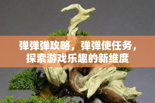 弹弹弹攻略，弹弹使任务，探索游戏乐趣的新维度