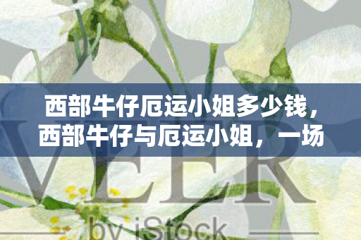 西部牛仔厄运小姐多少钱，西部牛仔与厄运小姐，一场命运的交响曲
