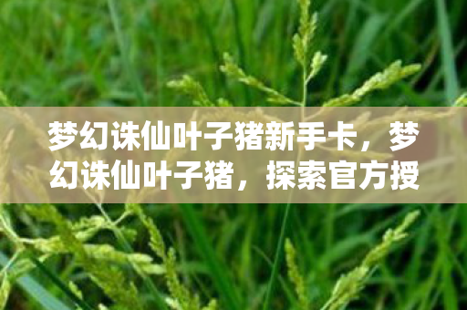 梦幻诛仙叶子猪新手卡，梦幻诛仙叶子猪，探索官方授权下的游戏世界