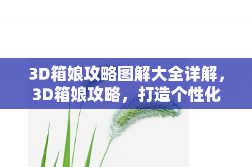 3D箱娘攻略图解大全详解，3D箱娘攻略，打造个性化虚拟世界的全面指南