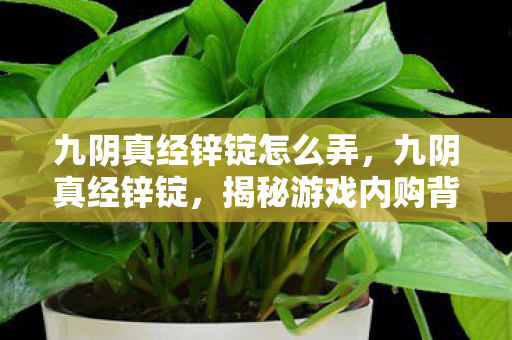 九阴真经锌锭怎么弄，九阴真经锌锭，揭秘游戏内购背后的经济逻辑