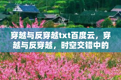 穿越与反穿越txt百度云，穿越与反穿越，时空交错中的奇妙旅程