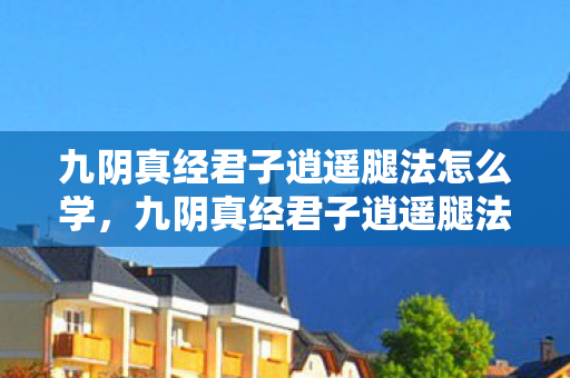 九阴真经君子逍遥腿法怎么学，九阴真经君子逍遥腿法，探寻武学中的诗意与逍遥