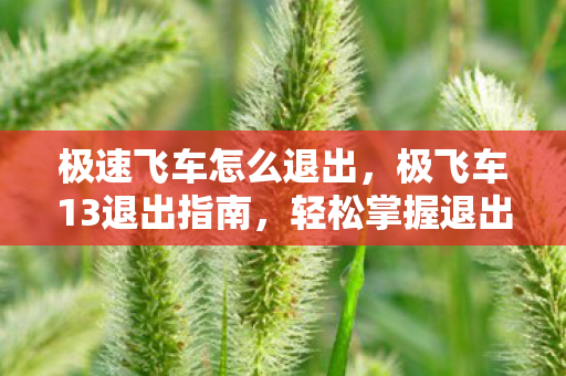 极速飞车怎么退出，极飞车13退出指南，轻松掌握退出流程