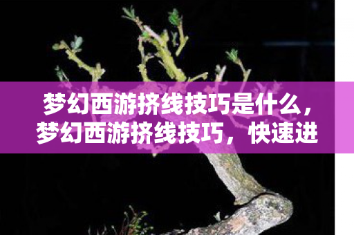 梦幻西游挤线技巧是什么，梦幻西游挤线技巧，快速进入游戏的秘诀