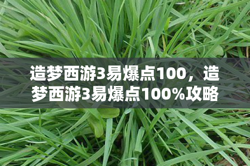 造梦西游3易爆点100，造梦西游3易爆点100%攻略，打造最强战斗力的秘诀
