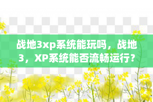 战地3xp系统能玩吗，战地3，XP系统能否流畅运行？