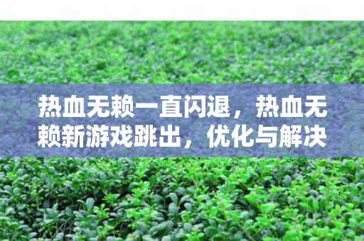 热血无赖一直闪退，热血无赖新游戏跳出，优化与解决策略