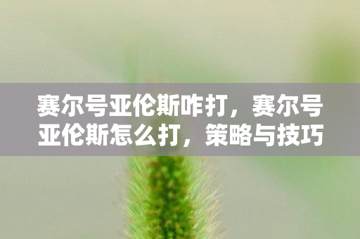 赛尔号亚伦斯咋打，赛尔号亚伦斯怎么打，策略与技巧详解