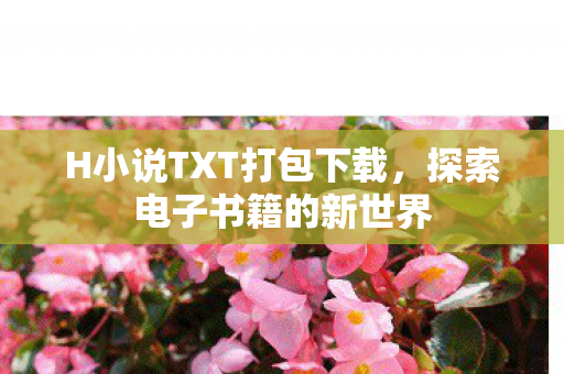 H小说TXT打包下载，探索电子书籍的新世界