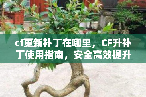 cf更新补丁在哪里，CF升补丁使用指南，安全高效提升游戏体验