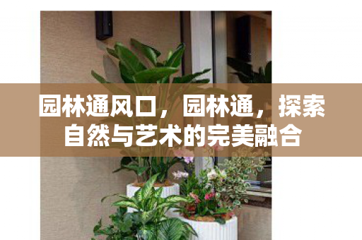 园林通风口，园林通，探索自然与艺术的完美融合