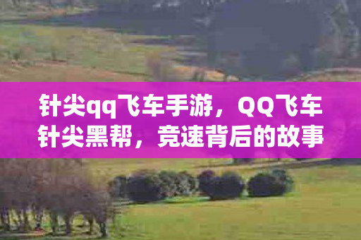 针尖qq飞车手游，QQ飞车针尖黑帮，竞速背后的故事