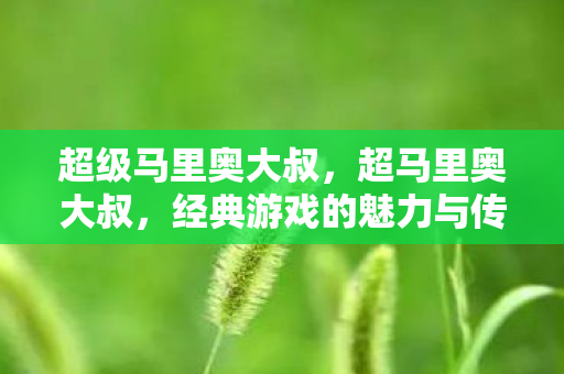 超级马里奥大叔，超马里奥大叔，经典游戏的魅力与传承