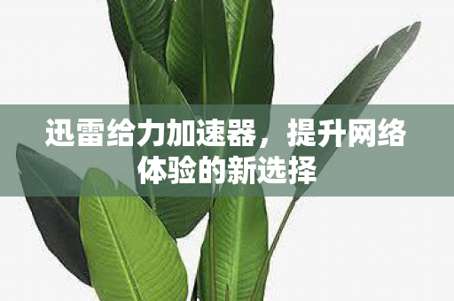 迅雷给力加速器，提升网络体验的新选择