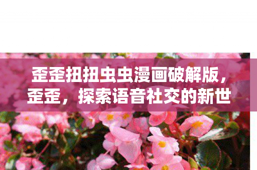 歪歪扭扭虫虫漫画破解版，歪歪，探索语音社交的新世界