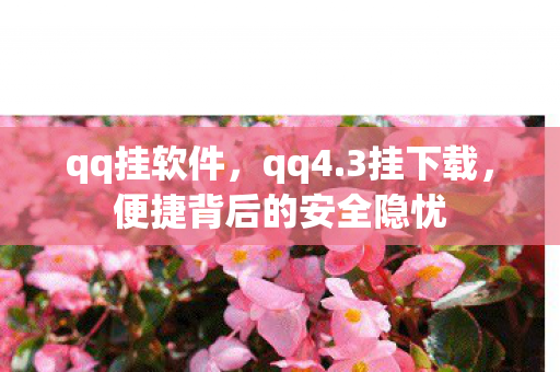 qq挂软件，qq4.3挂下载，便捷背后的安全隐忧