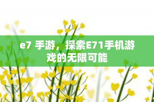 e7 手游，探索E71手机游戏的无限可能