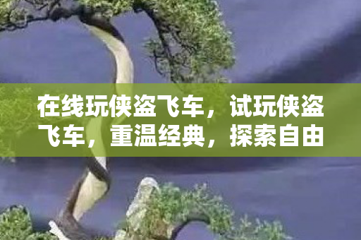 在线玩侠盗飞车，试玩侠盗飞车，重温经典，探索自由世界的无限可能