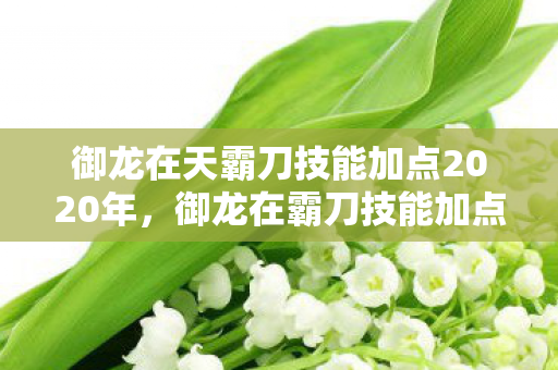 御龙在天霸刀技能加点2020年，御龙在霸刀技能加点攻略