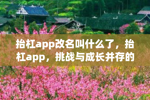 抬杠app改名叫什么了，抬杠app，挑战与成长并存的社交新平台