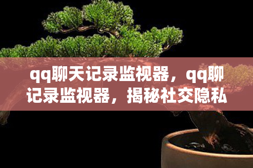 qq聊天记录监视器，qq聊记录监视器，揭秘社交隐私的守护者