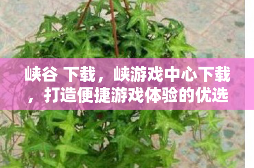 峡谷 下载，峡游戏中心下载，打造便捷游戏体验的优选平台