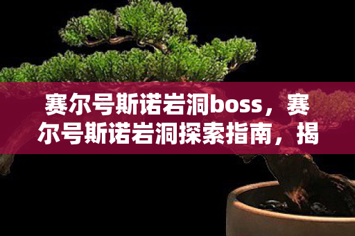 赛尔号斯诺岩洞boss，赛尔号斯诺岩洞探索指南，揭秘神秘地点的位置与特色
