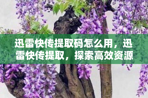 迅雷快传提取码怎么用，迅雷快传提取，探索高效资源分享的新途径