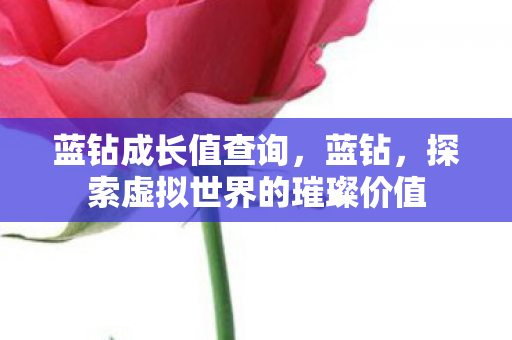 蓝钻成长值查询，蓝钻，探索虚拟世界的璀璨价值
