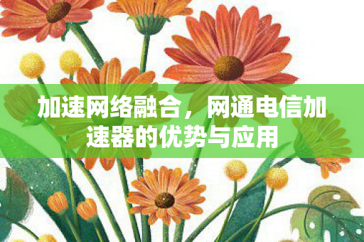 加速网络融合，网通电信加速器的优势与应用