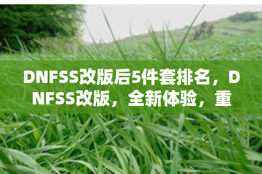 DNFSS改版后5件套排名，DNFSS改版，全新体验，重塑经典