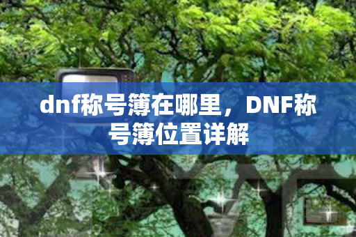 dnf称号簿在哪里，DNF称号簿位置详解