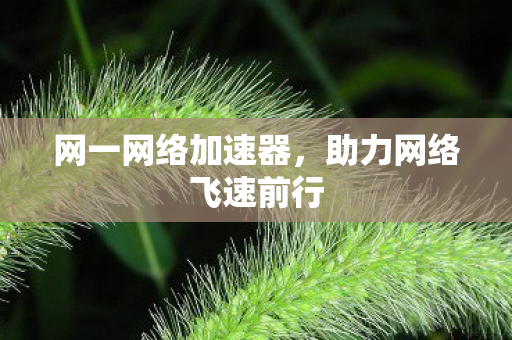 网一网络加速器,助力网络飞速前行 网一网络加速器,助力网络飞速前行