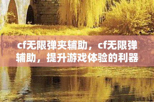 cf无限弹夹辅助，cf无限弹辅助，提升游戏体验的利器