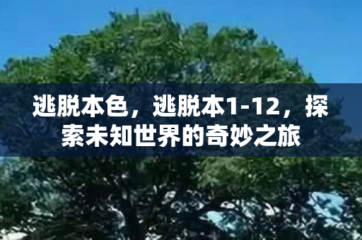 逃脱本色，逃脱本1-12，探索未知世界的奇妙之旅