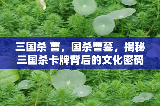 三国杀 曹，国杀曹墓，揭秘三国杀卡牌背后的文化密码