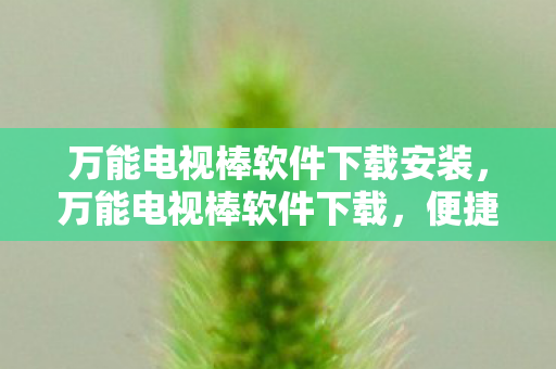 万能电视棒软件下载安装，万能电视棒软件下载，便捷娱乐新选择