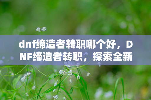 dnf缔造者转职哪个好，DNF缔造者转职，探索全新职业的魅力与潜力