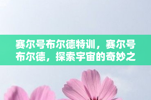 赛尔号布尔德特训，赛尔号布尔德，探索宇宙的奇妙之旅