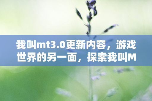 我叫mt3.0更新内容，游戏世界的另一面，探索我叫MT3.0的无限可能