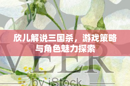 欣儿解说三国杀，游戏策略与角色魅力探索