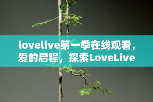 lovelive第一季在线观看，爱的启程，探索LoveLive!第一季的梦幻之旅