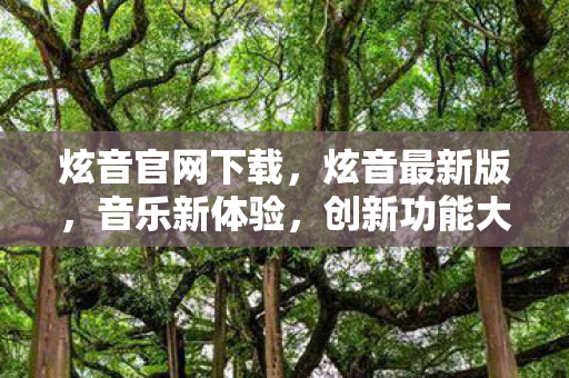 炫音官网下载，炫音最新版，音乐新体验，创新功能大揭秘