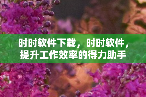时时软件下载，时时软件，提升工作效率的得力助手