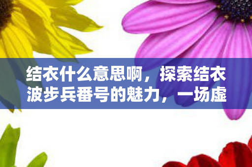结衣什么意思啊，探索结衣波步兵番号的魅力，一场虚拟世界的奇幻之旅