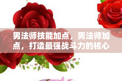 男法师技能加点，男法师加点，打造最强战斗力的核心策略