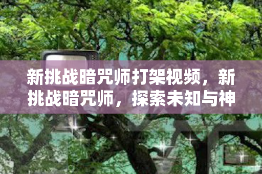 新挑战暗咒师打架视频，新挑战暗咒师，探索未知与神秘的冒险之旅