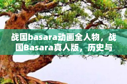 战国basara动画全人物，战国Basara真人版，历史与传说的再现